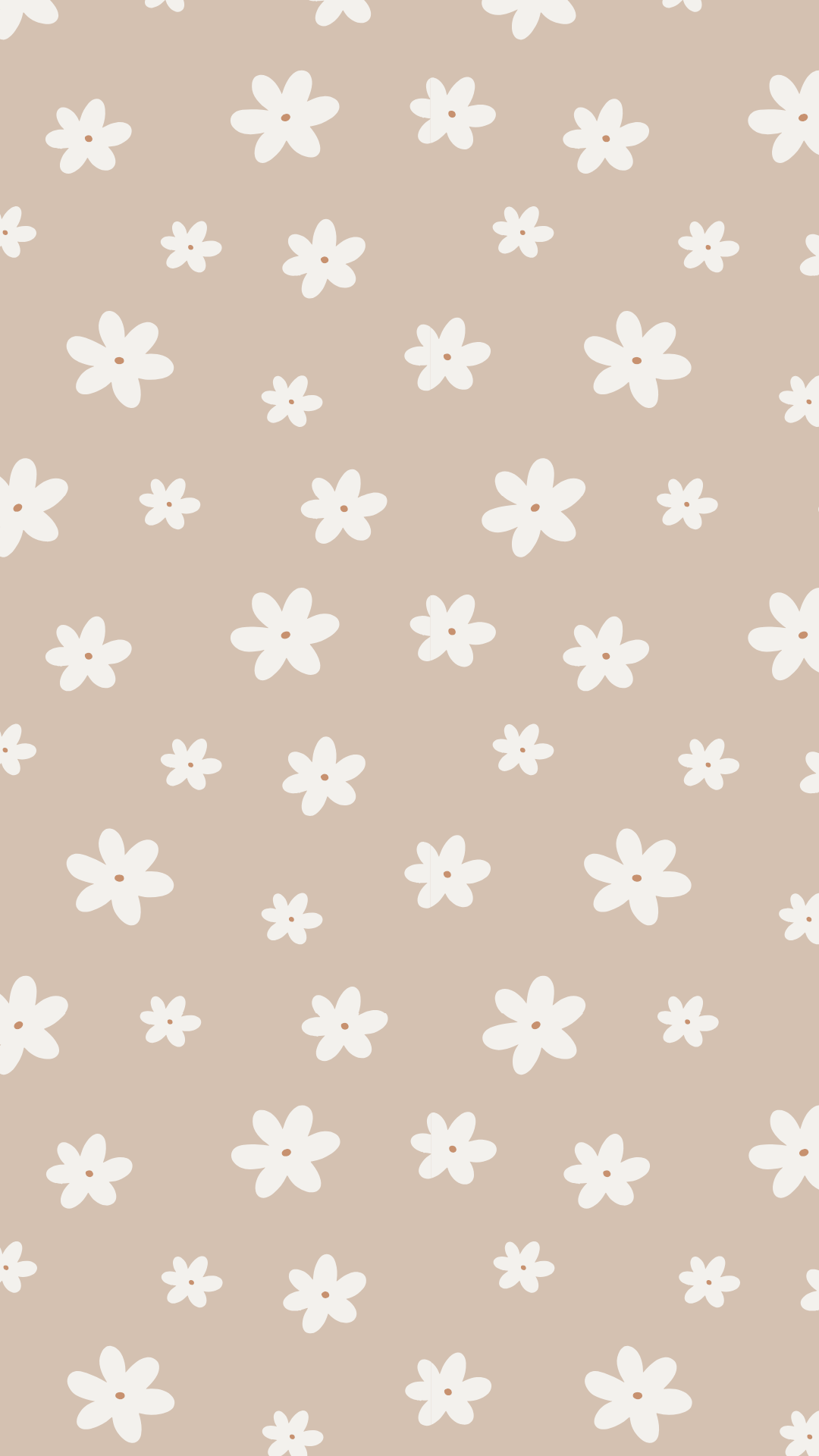 Neutral beige floral pattern spring iPhone wallpaper with simple white flower illustrations.