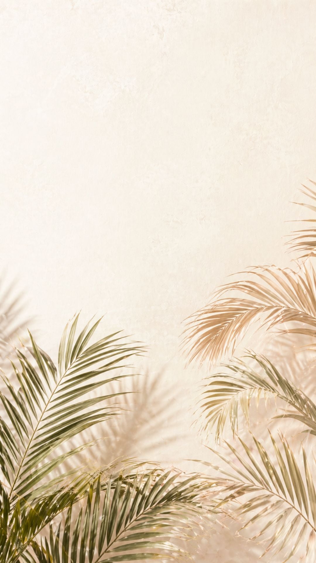 Minimal tropical summer iPhone wallpaper with palm leaves, cream background, and soft neutral texture