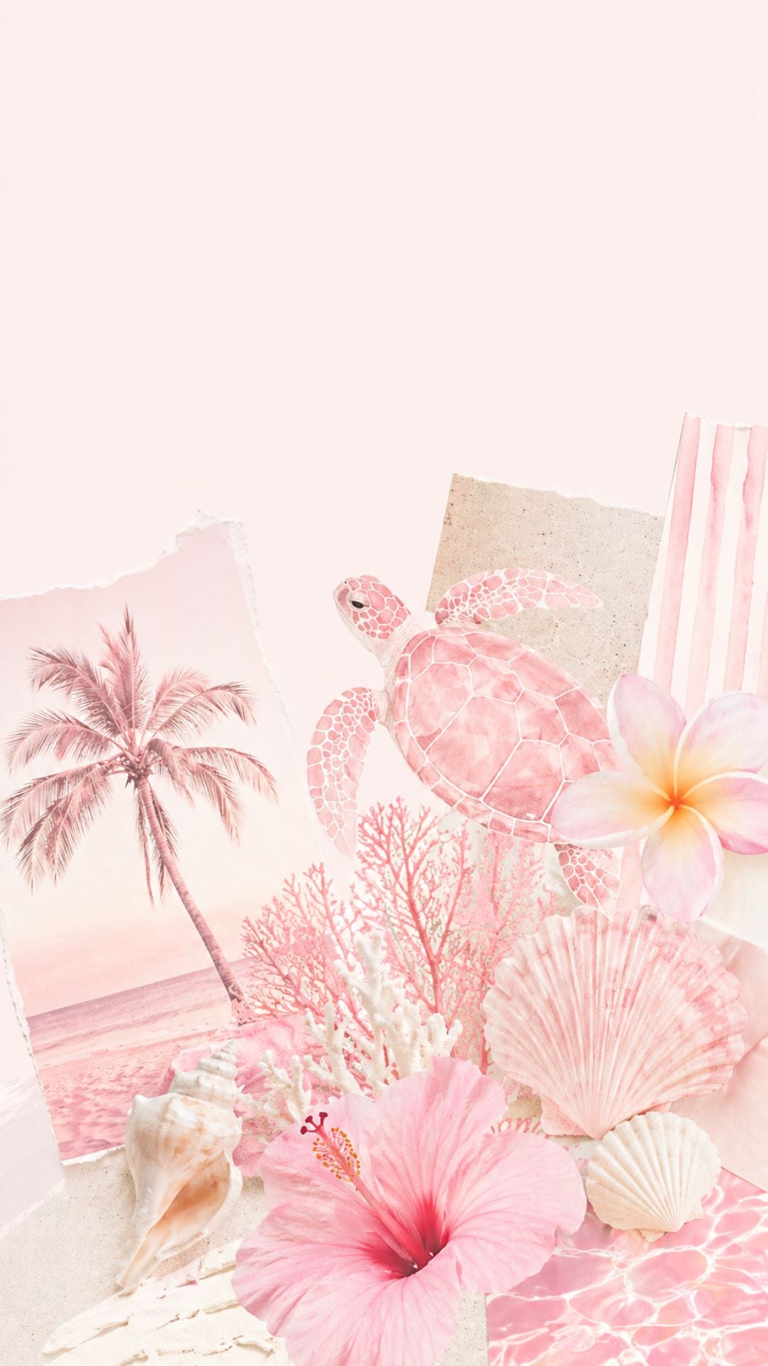 Cute summer iPhone wallpaper with pink sea turtle, hibiscus flower, palm tree, seashells, and tropical collage