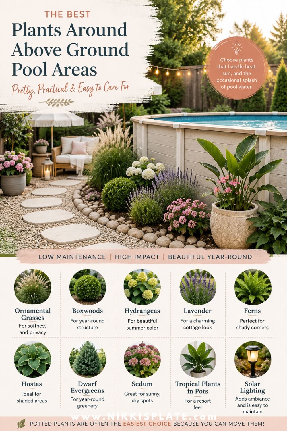 Wondering what to plant around an above ground pool? These pretty pool landscaping plants are low-maintenance, heat-friendly, and perfect for softening your backyard pool area. Get ideas for ornamental grasses, boxwoods, hydrangeas, lavender, ferns, hostas, dwarf evergreens, sedum, and tropical plants in pots for a beautiful, finished look.