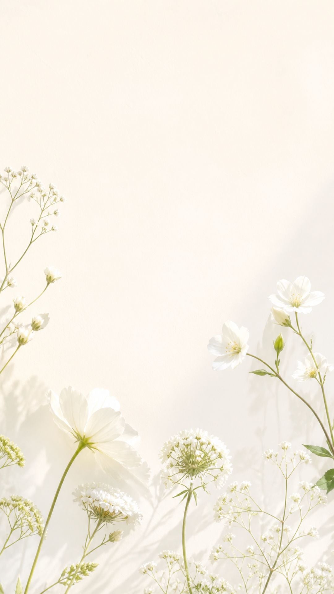 Minimalist floral summer iPhone wallpaper with delicate white flowers on a cream background
