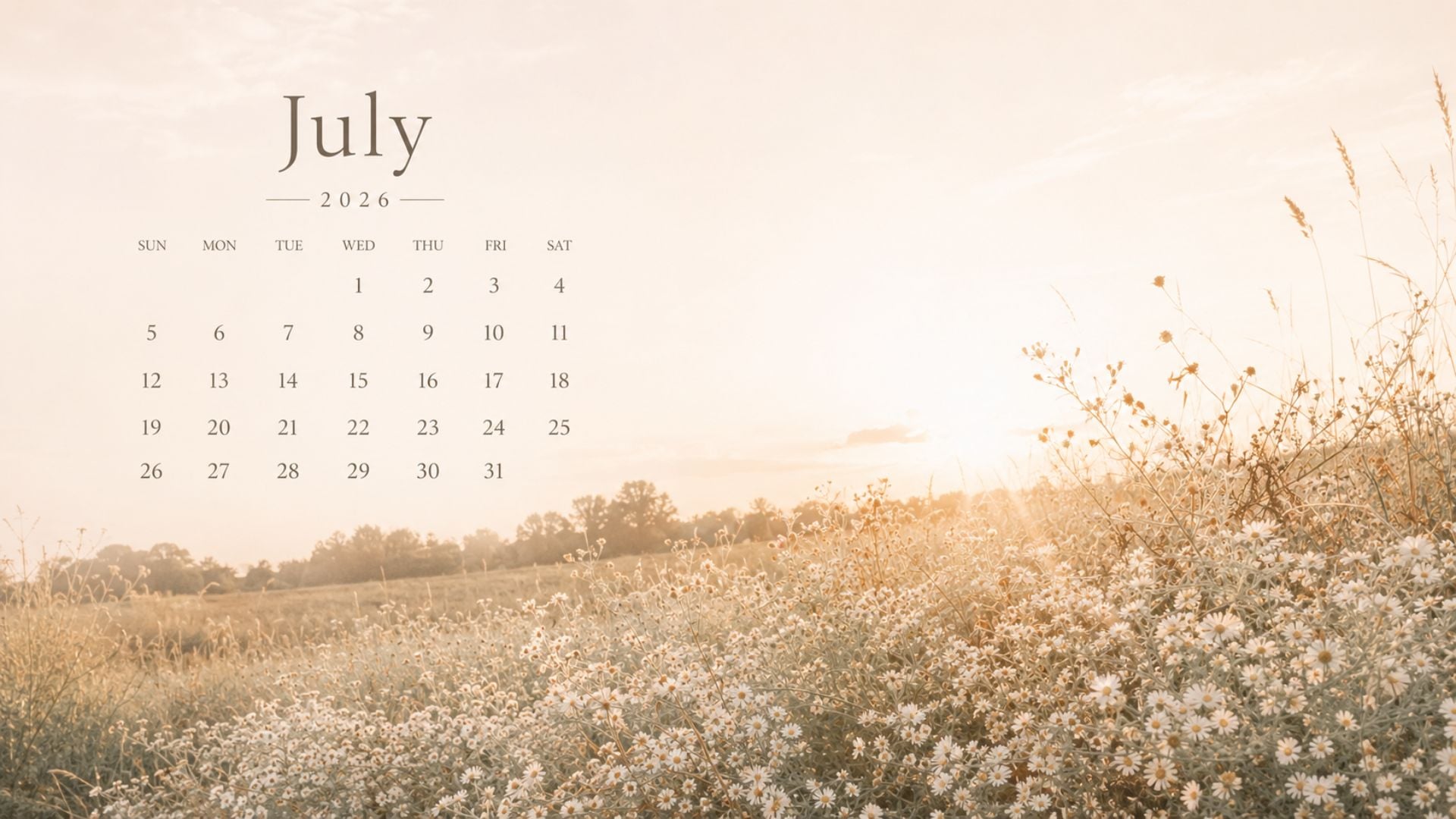 July 2026 desktop calendar background with a soft sunlit meadow, white wildflowers, warm neutral tones, and a clean calendar design.