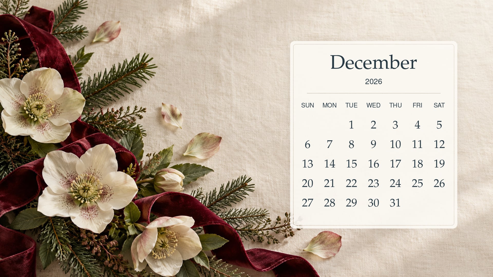 December 2026 desktop calendar with burgundy velvet ribbon, cream winter flowers and fir sprigs.