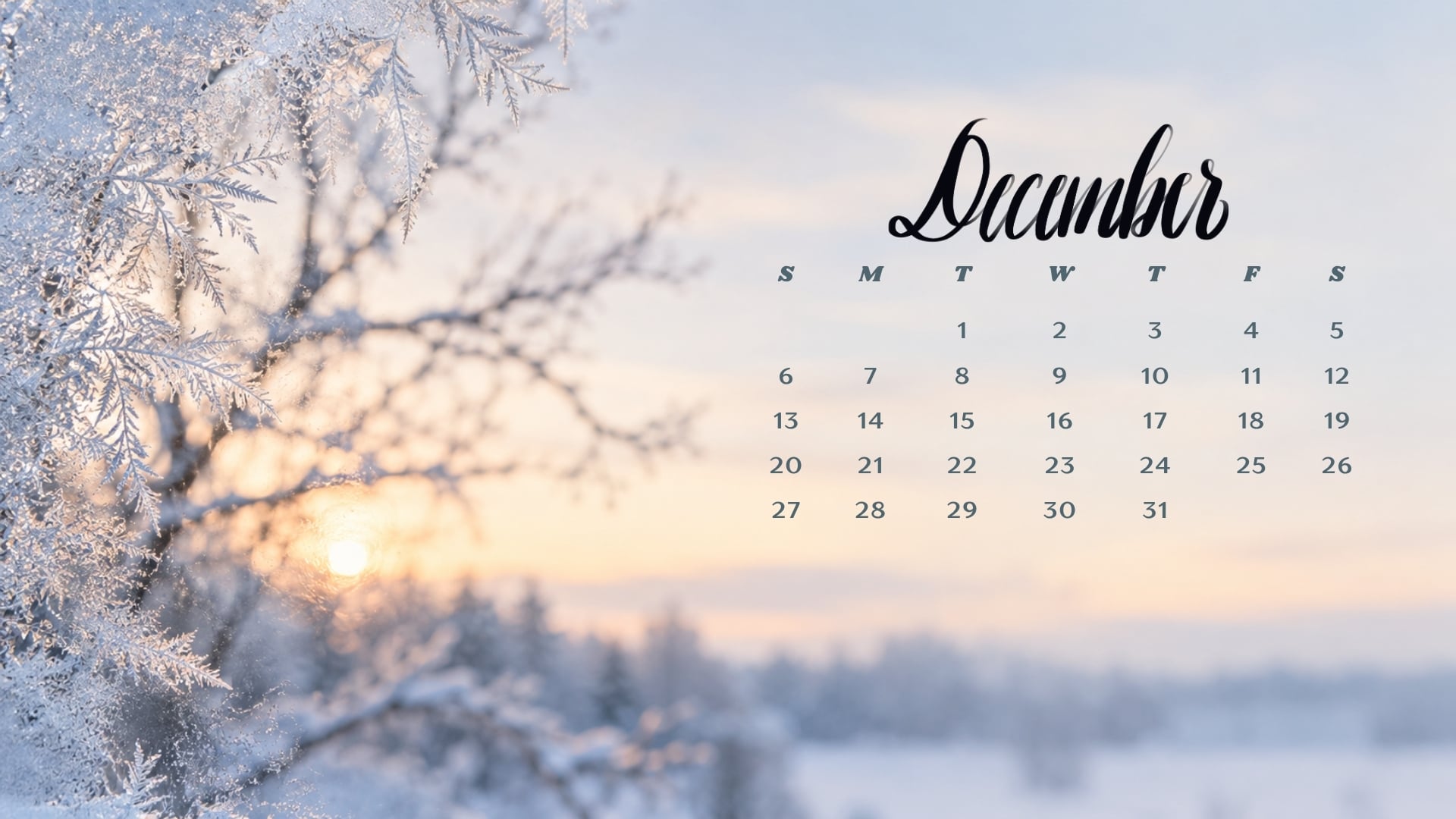 December 2026 desktop calendar with frosted glass framing bare branches and a pale winter sky.