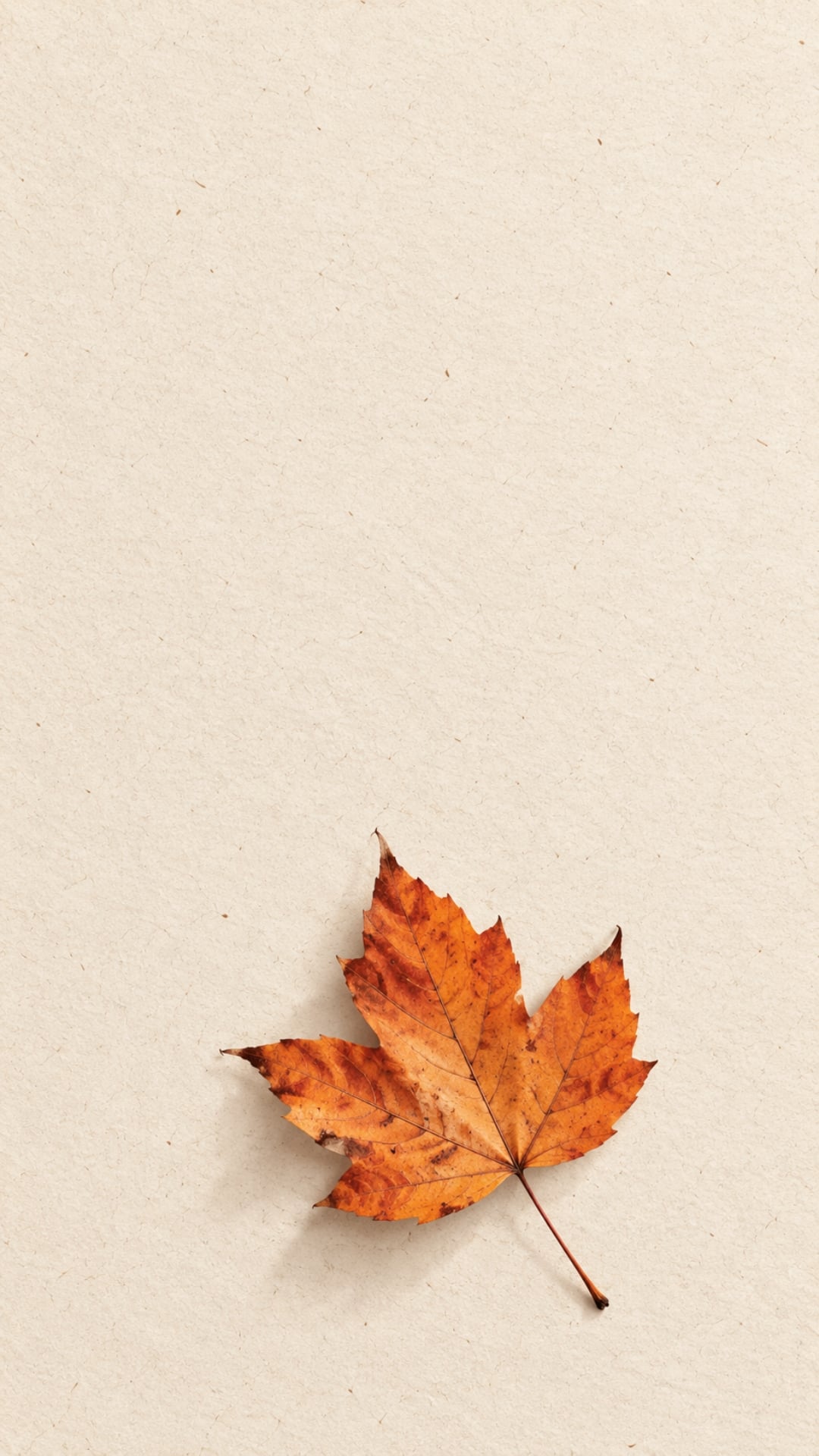Minimalist fall iPhone wallpaper with one persimmon orange maple leaf on a warm cream background.