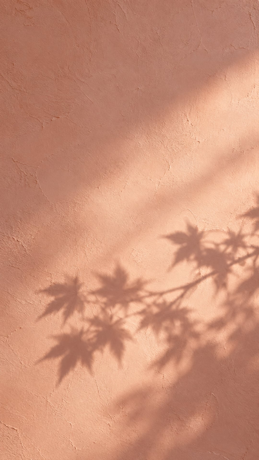 Soft fall iPhone wallpaper with a blush plaster background and delicate maple leaf shadow.