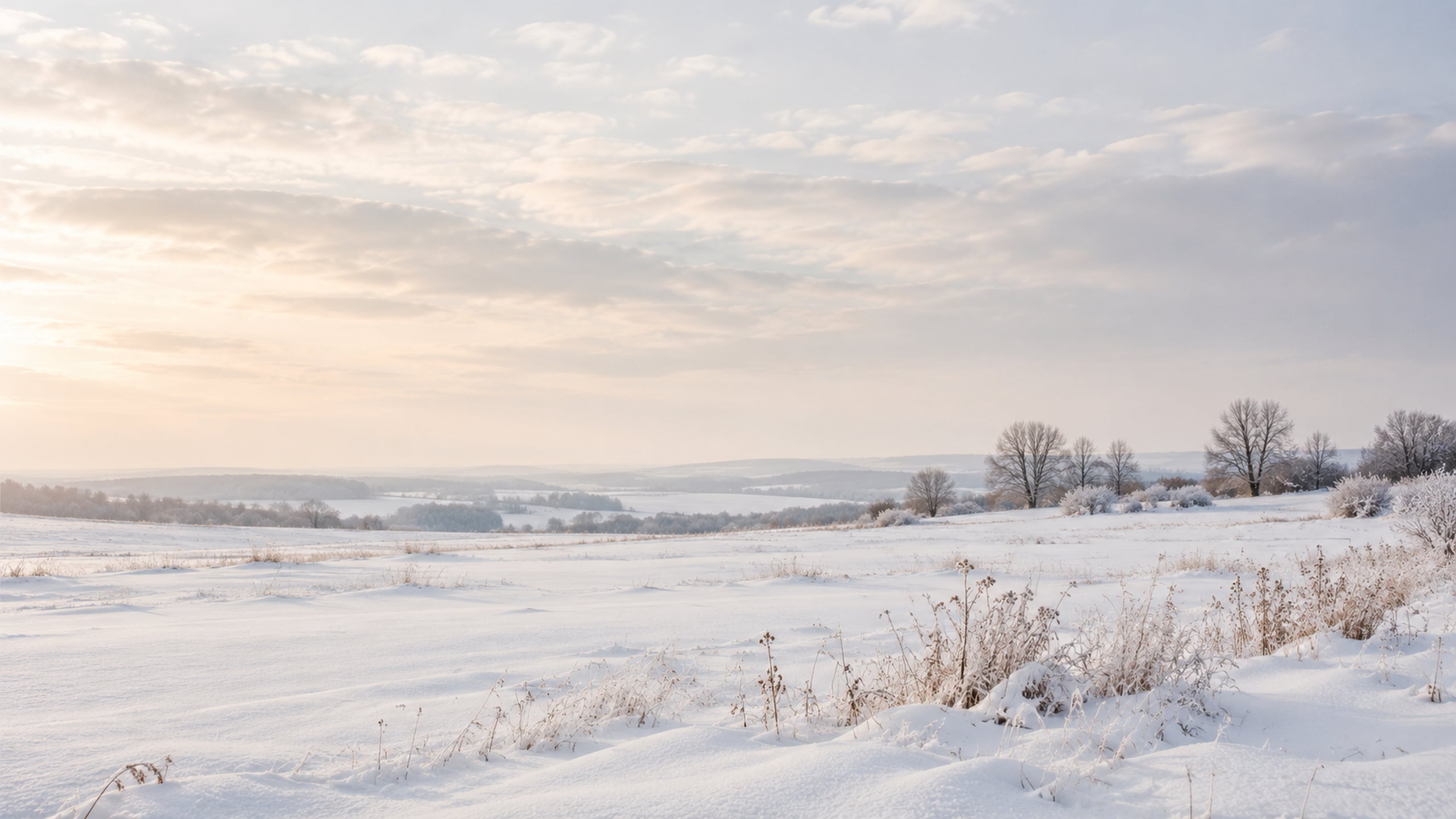 Open snowy meadow beneath a soft grey sky with distant bare trees.