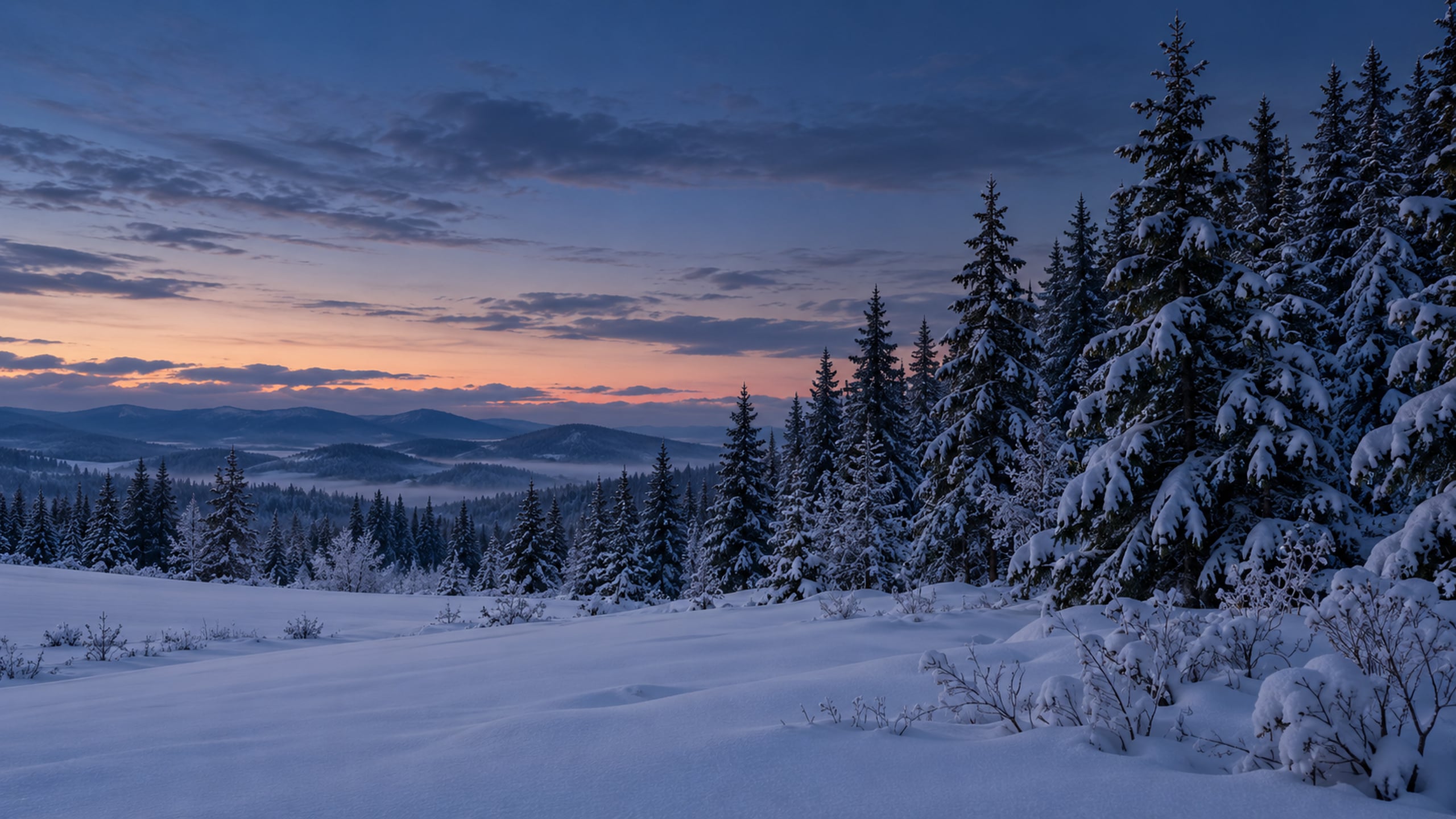 Snowy pine forest at dusk with deep green trees and muted blue snow.