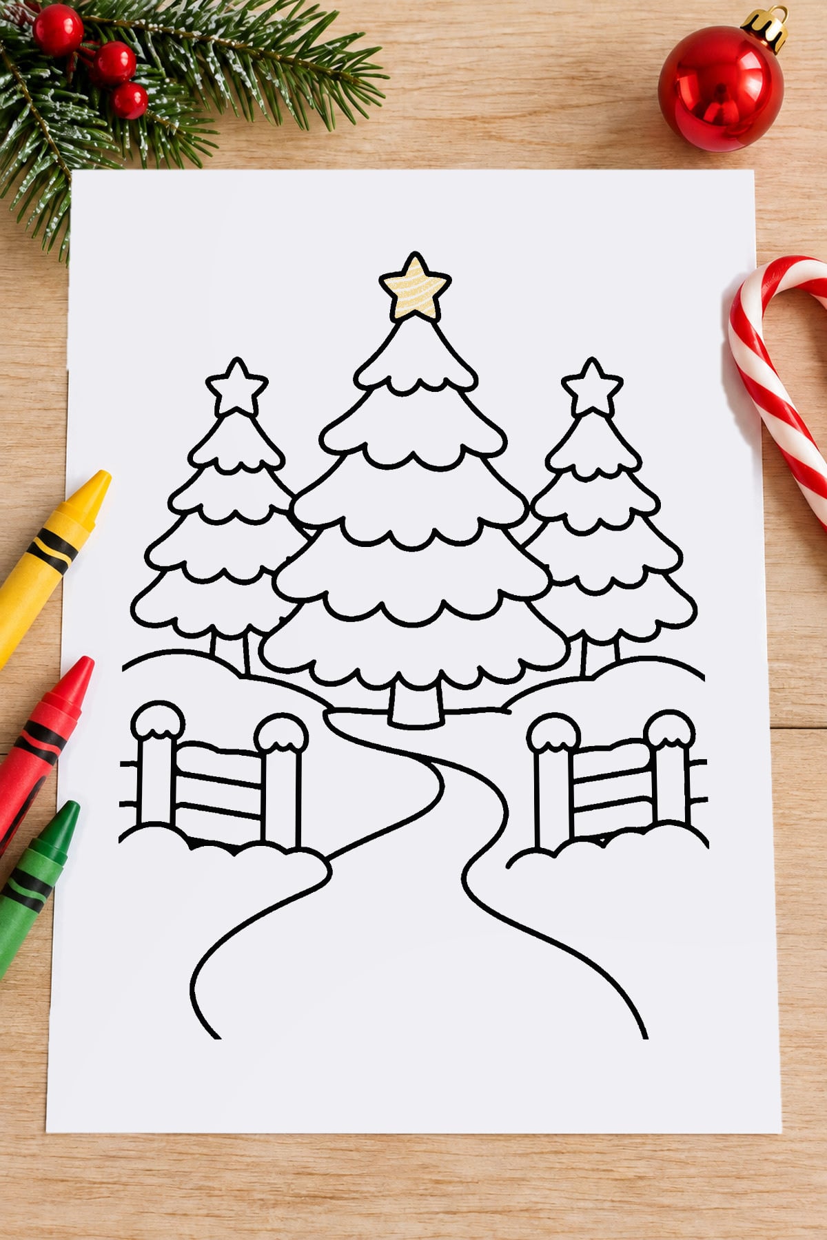 Christmas tree farm coloring page with three snowy evergreen trees, a winding pathway, and wooden fences on a festive tabletop.