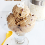 Vegan peanut butter and chocolate chip ice cream. Dairy and gluten free!