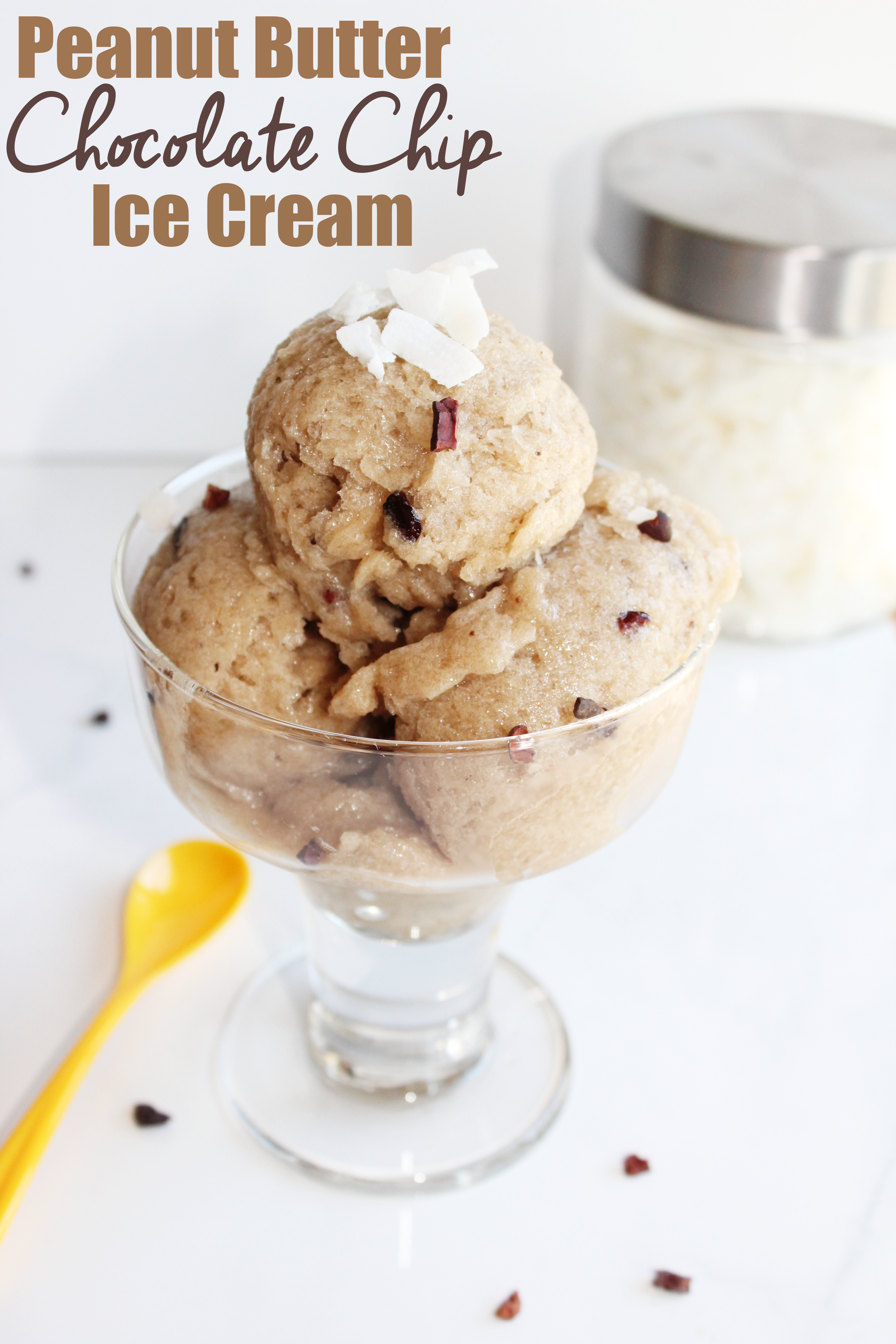Vegan peanut butter and chocolate chip ice cream. Dairy and gluten free!