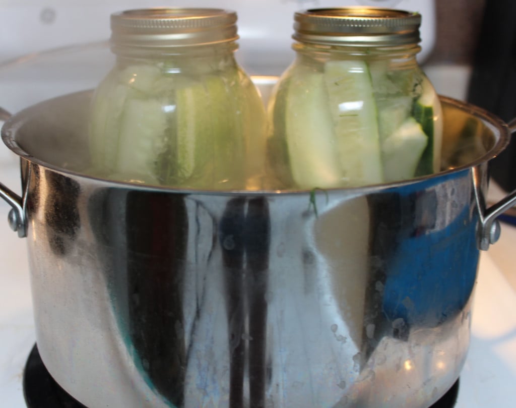 Step by Step guide to canning dill pickles  - Nikki's Plate