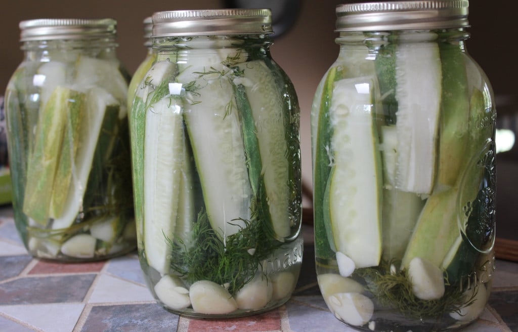 Step by Step guide to canning dill pickles  - Nikki's Plate