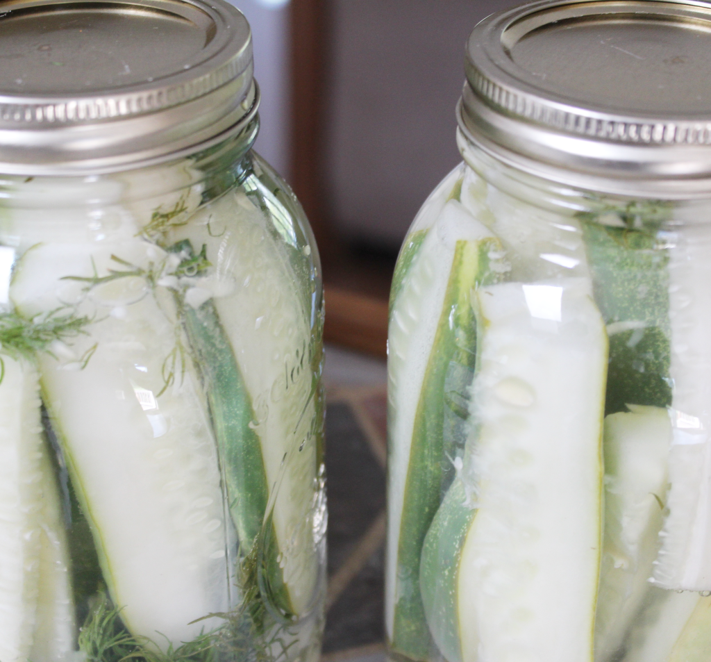 Step by Step guide to canning dill pickles  - Nikki's Plate