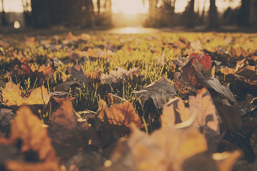 25 Things to Do Before the End of Fall