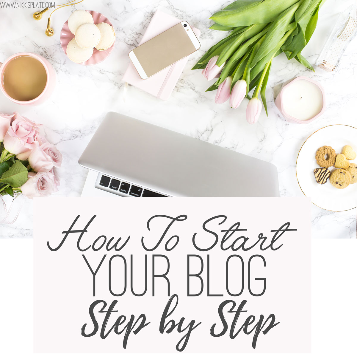 How to start a blog, step by step instructions with photos to help you set up your dream blog! Get your passion out on the internet today!www.nikkisplate.com