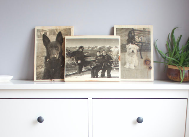 DIY Photos on Wood Plaques - Step by Step video! www.nikkisplate.com