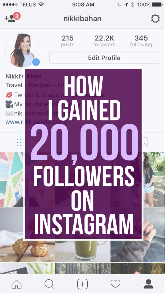 How I Gained 20k Instagram Followers - www.nikkisplate.com