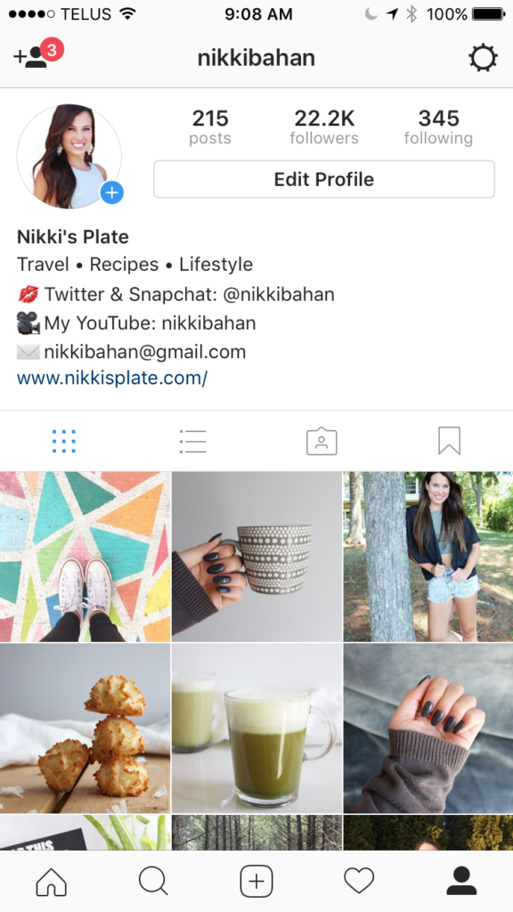 How I Gained 20k Instagram Followers - www.nikkisplate.com