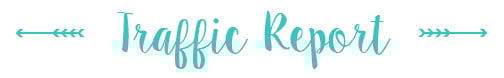 Blogging Traffic and Income Reports Nikki's Plate