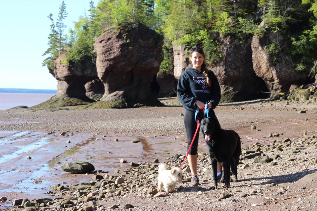 Hopewell Rocks, New Brunswick, Canada