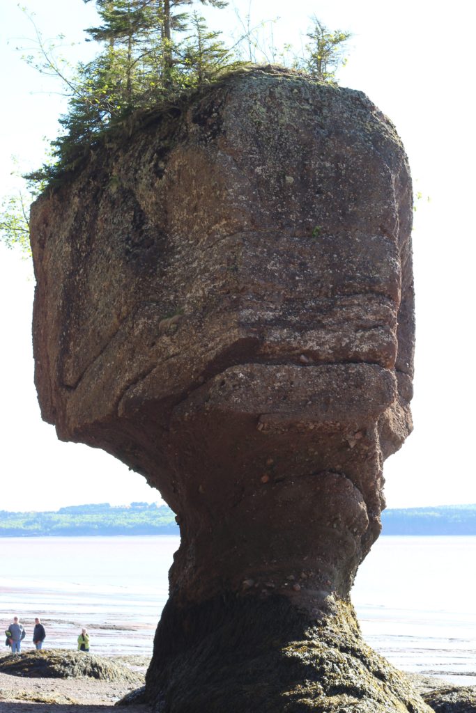 Hopewell Rocks, New Brunswick, Canada