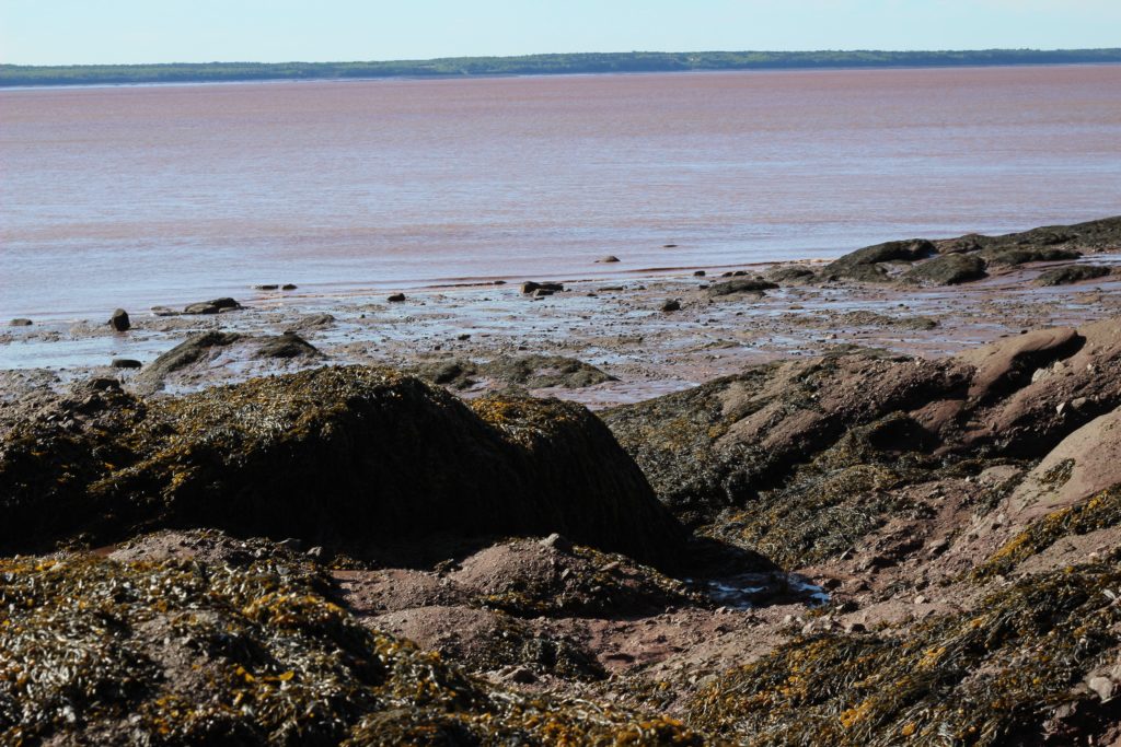 Hopewell Rocks, New Brunswick, Canada