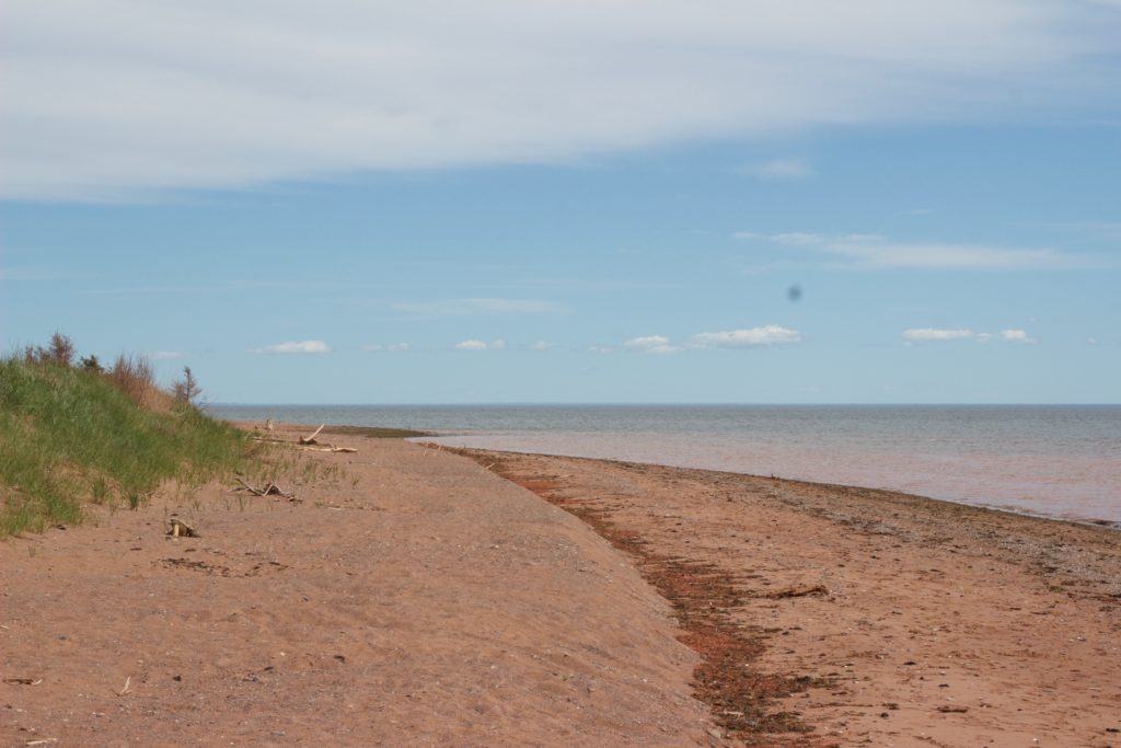 Prince Edward Island, Canada - Travel Diary and Guide! www.nikkisplate.com