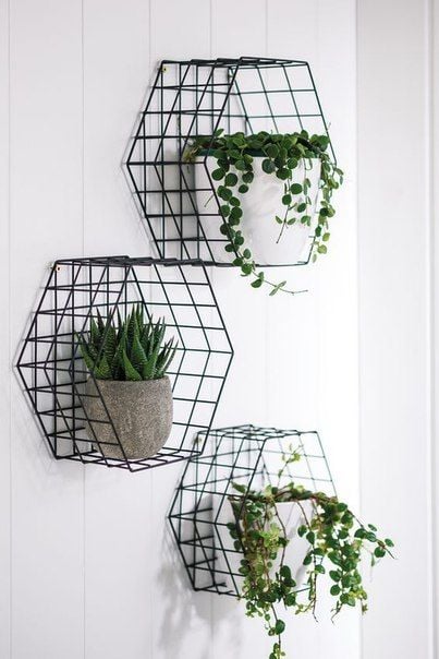 Green Plants Decor