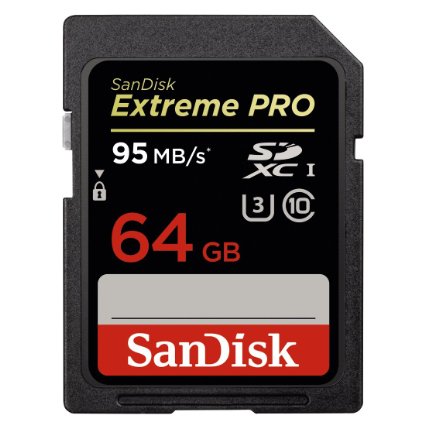 Must Have Blogger Resources: SanDisk Memory Card 64