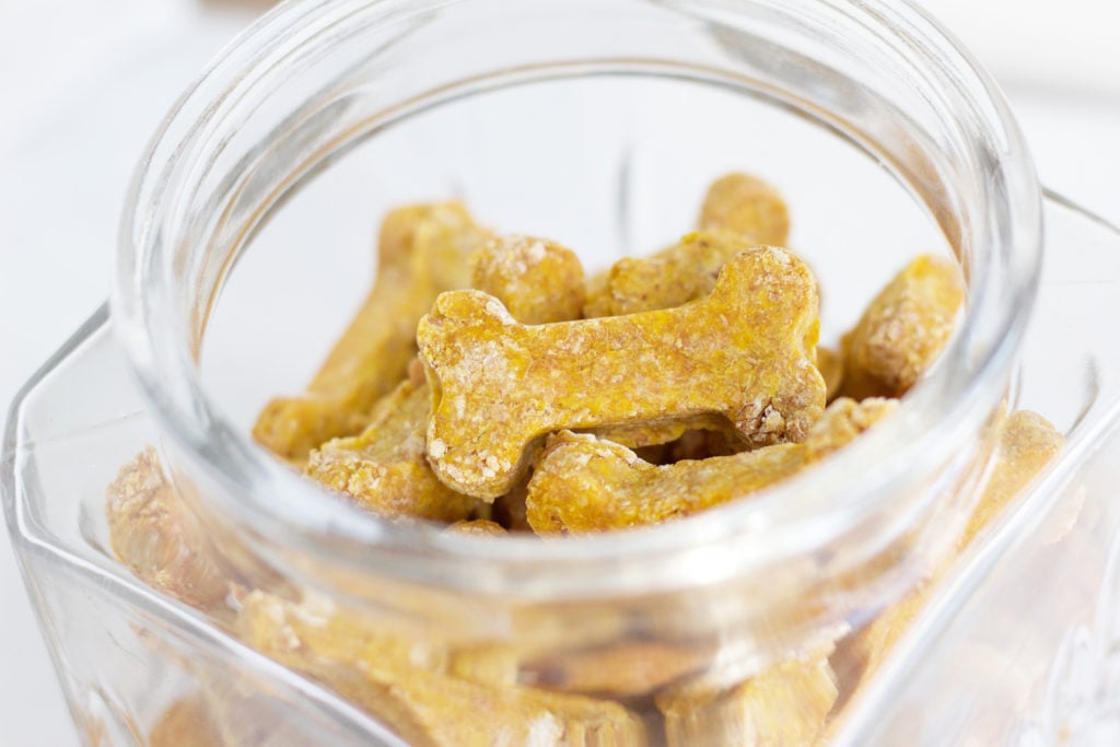 Healthy DIY pumpkin dog treats are perfect for your little pup friend