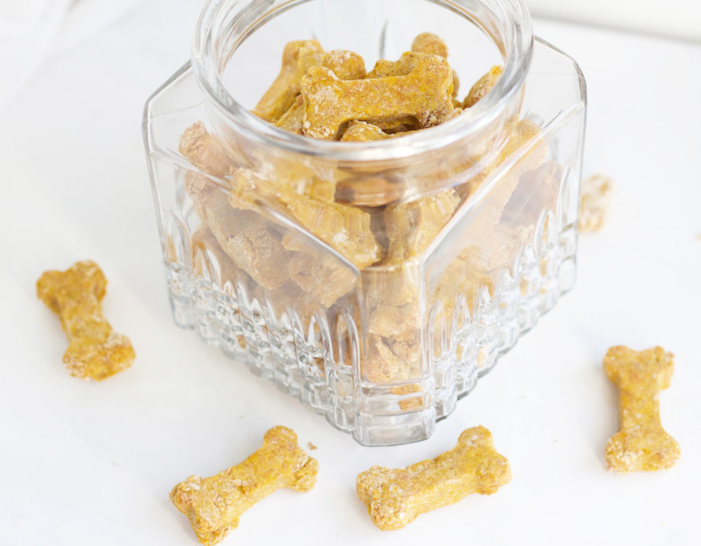 Pumpkin Peanut Butter Dog Treats - Healthy, dairy free treats to settle your puppies stomach || www.nikkisplate.com
