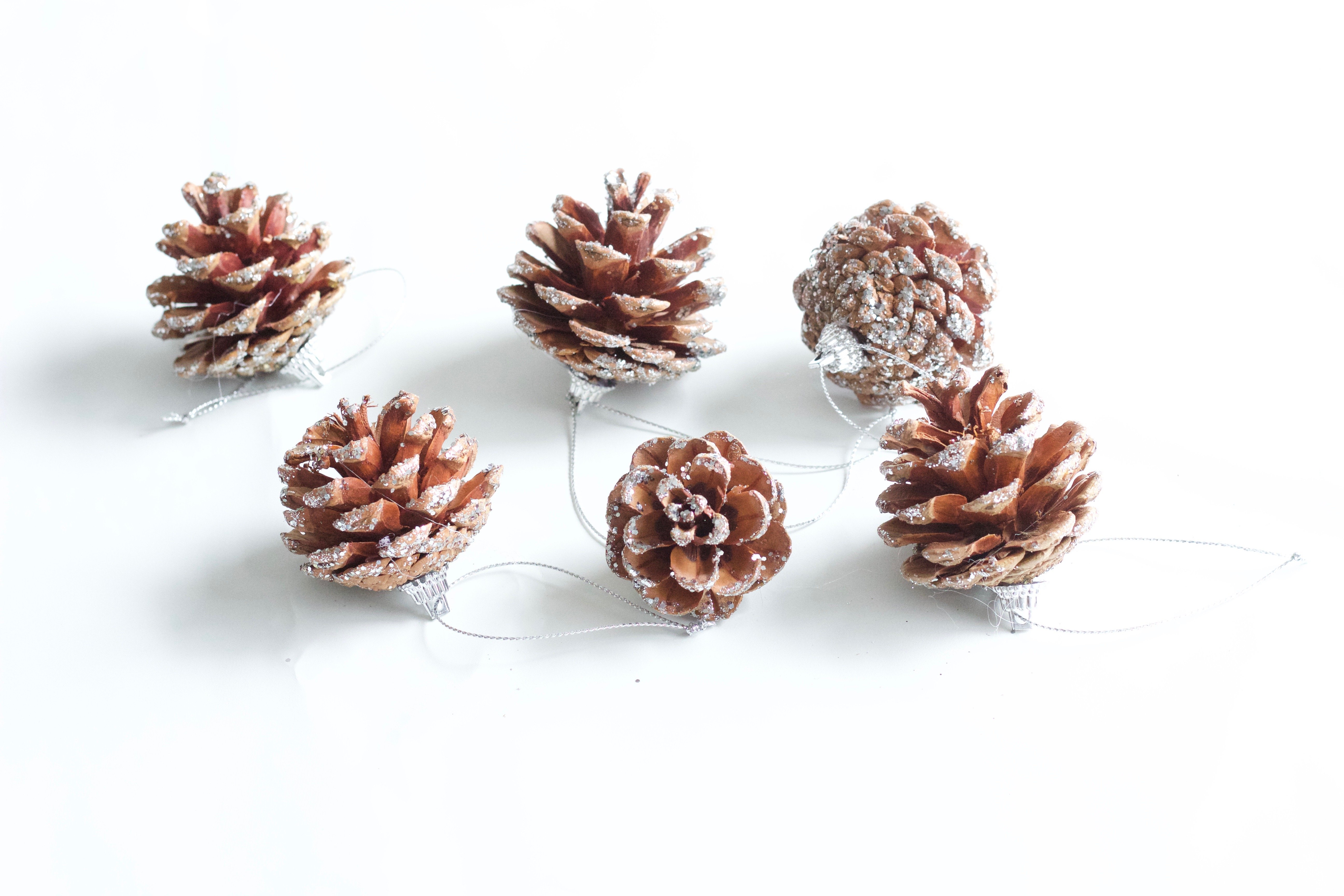 Best DIY Glittered Pinecones || Easy Christmas decor craft thats easy and looks great! Everyone will love! || Nikki's Plate