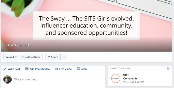The Sway is a Facebook group for bloggers that gives bloggers influencer opportunities