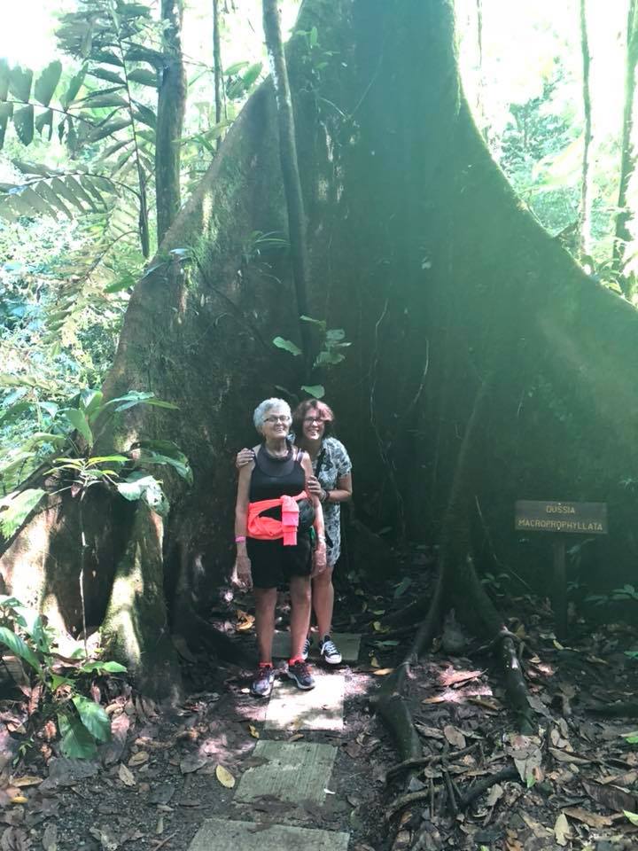 Costa Rica Travel Diary: Rainforest, butterfly sanctuary, tour, cruise, snakes, what to do, what not to do - Nikki's Plate 