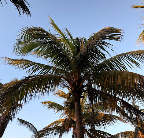 Varadero and Havana Cuba Travel 2018 || Sunshine, Caribbean, ocean, down south, vacations || www.nikkisplate.com