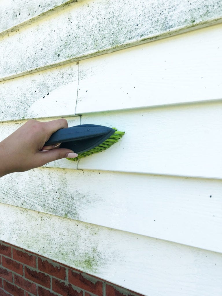 Using a scrub brush and a strong industrial cleaner to clean vinyl siding on our home