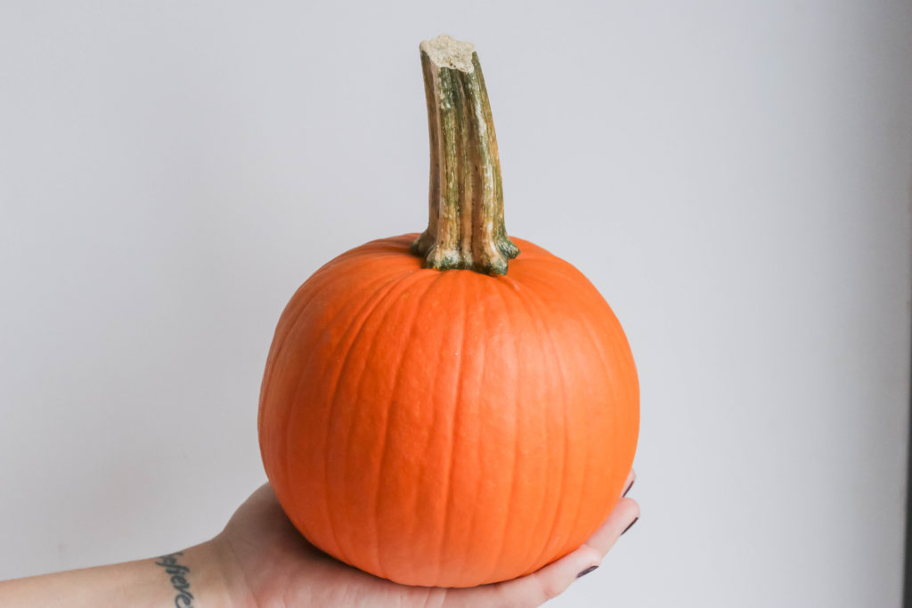 A pumpkin used in the pumpkin spiced soup recipe