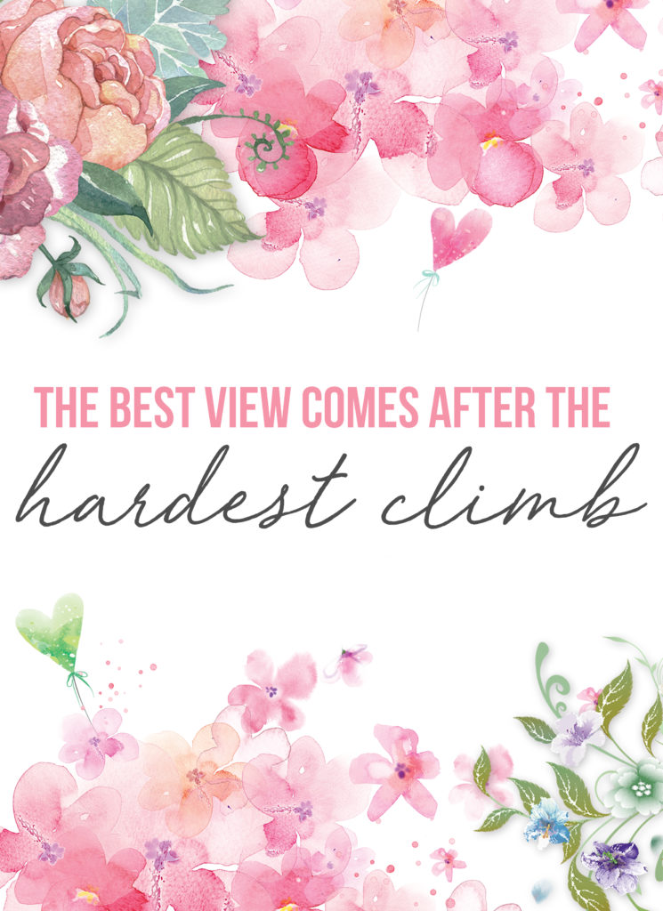 This motivational wall art has soft pink watercolor flowers with an empowering quote that reads "the best view comes after the hardest climb"