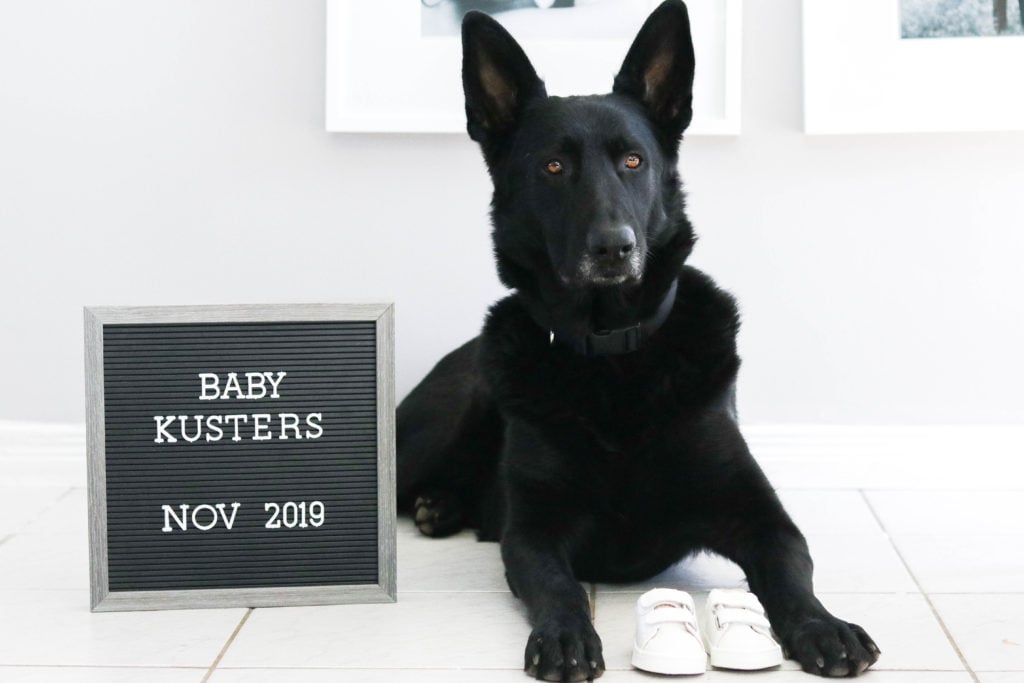 Our pregnancy announcement - I'm pregnant and a baby is coming soon! #pregnancy #pregnant #announcement