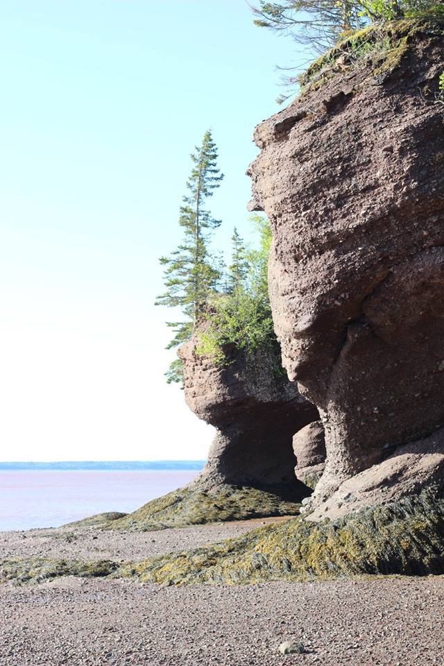 Hopewell Rocks is definitely on the list of things to do in new brunswick! It has gorgeous beaches and rock formations worth seeing.