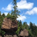 Top 5 Things to do in Bay of Fundy, New Brunswick, Canada; Traveling to Bay of Fundy? Here are some of the top things to see and do in this beautiful area! What to eat, things to see and where to stay!