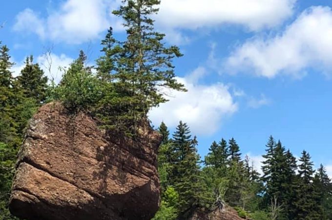 Top 5 Things to do in Bay of Fundy, New Brunswick, Canada; Traveling to Bay of Fundy? Here are some of the top things to see and do in this beautiful area! What to eat, things to see and where to stay!
