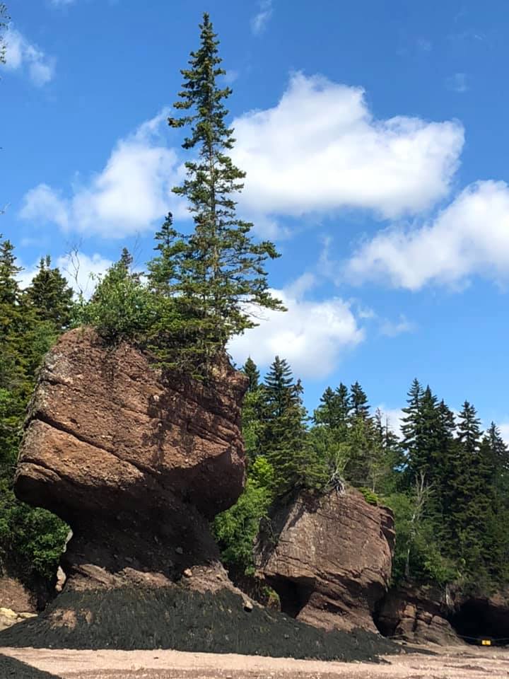 Camping at Bay of Fundy National Park in New Brunswick is a must-do item if you're looking for enjoyable things to do in new brunswick!