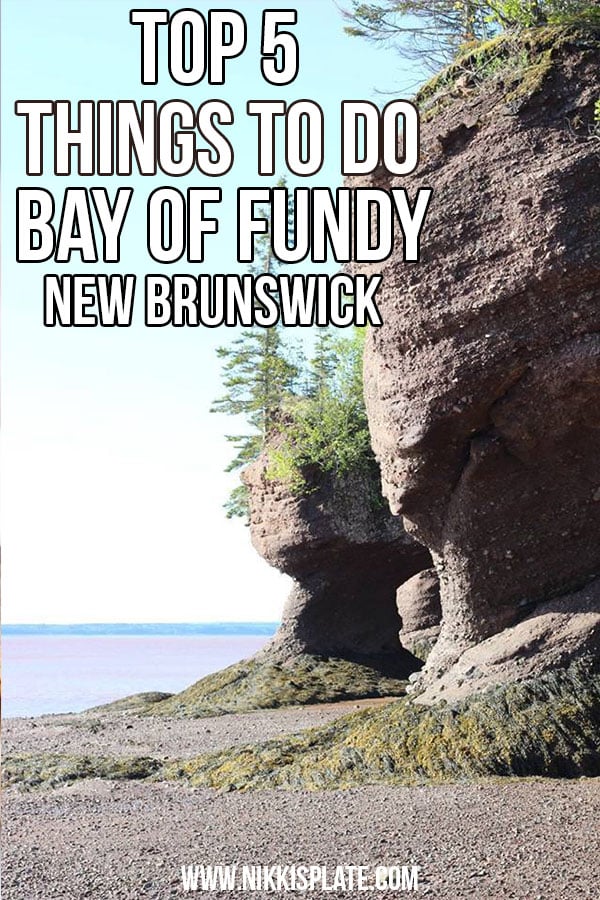 Looking for fun things to do in new brunswick? Here are my five suggestions for places to visit, things to see, and food to try!