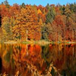 Best Canadian Destinations to Travel to in the Fall; Top 9 places to see autumn colours and fall foliage in Canada! #fall #autumn #canada #leaves