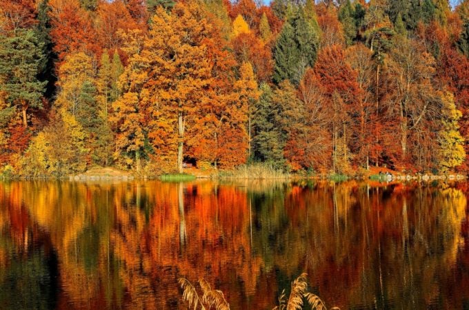 Best Canadian Destinations to Travel to in the Fall; Top 9 places to see autumn colours and fall foliage in Canada! #fall #autumn #canada #leaves