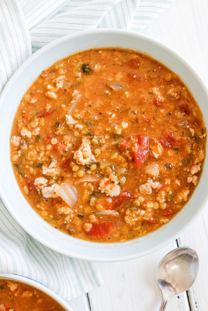 Round bowl of curry lentil and turkey stew. Dairy free and gluten free. Warm. Tomato, Onion, kale || Nikki's Plate