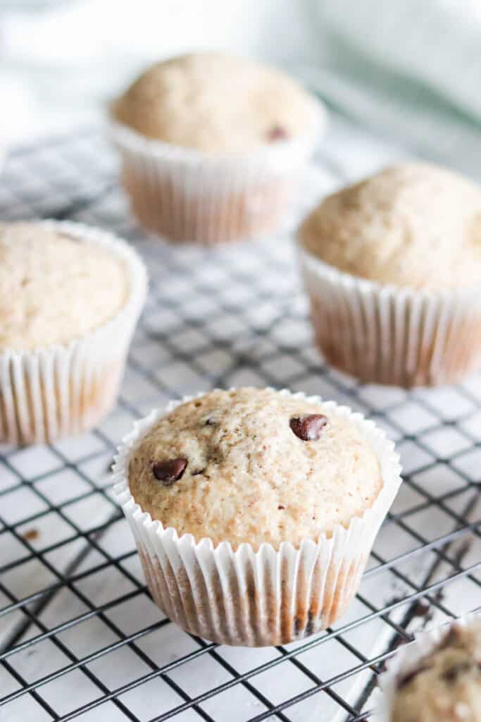 These Low Fat Chocolate Chip Banana Muffins are healthy, fluffy, naturally sweetened and bursting with banana and chocolate chip flavour! Enjoy a muffin for breakfast without all the added calories!