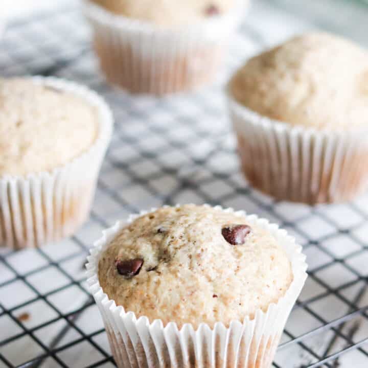 Low Fat Chocolate Chip Banana Muffins - Nikki's Plate